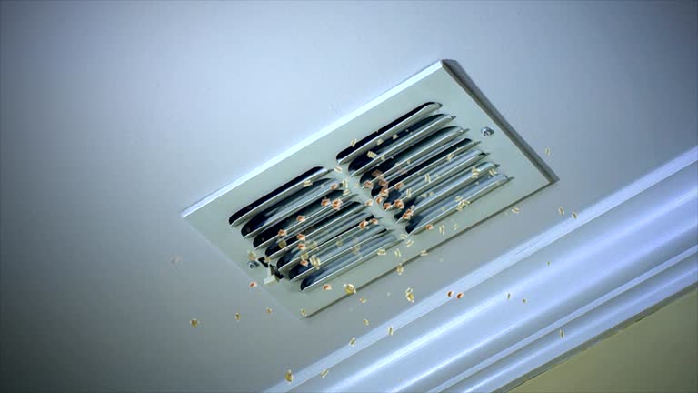 Best Commercial Air Duct Cleaning  in High Ridge, MO
