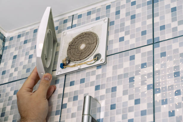 Best Air Duct Mold Removal  in High Ridge, MO